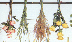 Essicazione per sospensione