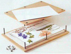 Essicazione per pressione